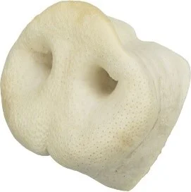 بینی خوک خشک شده مناسب سگ