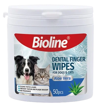 پد انگشتی دندان گربه و سگ